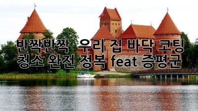 반짝반짝 ✨ 우리 집, 바닥 코팅 청소 완전 정복! (feat. 증평군)