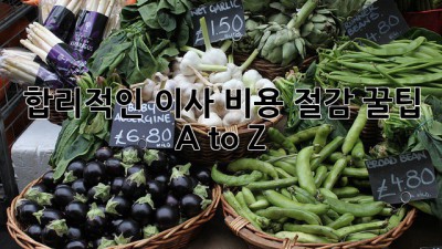 합리적인 이사 비용 절감 꿀팁🍯 A to Z