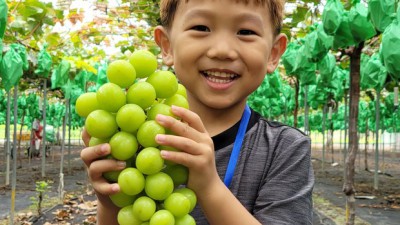 샤인머스켓 화이트와인: 꿀팁 가득한 내 솔직 후기🍇🥂
